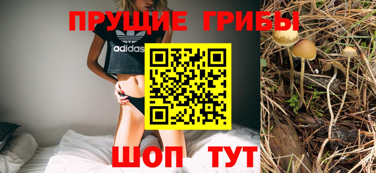Псилоцибиновые грибы Psilocybine cubensis  Псилоцибиновые грибы мицелий  даркнет сайт  Новочеркасск  Вход с VPN 