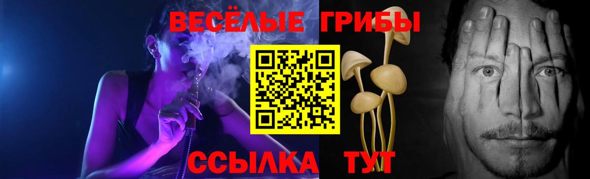 Псилоцибиновые грибы Psilocybe Новочеркасск